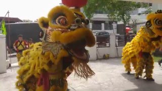 Lion Dance 2016 (4K)