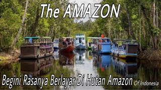 SUSUR SUNGAI HABITAT BUAYA🐊| TANJUNG PUTING NATIONAL PARK | AMAZON OF INDONESIA #wonderfulindonesia