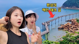 😳와.. 이런 오션뷰 트레킹은 처음이에요! 대중교통으로 가는 최고의 여행 코스 🌊