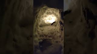 My own igloo outside my house #trending #viral #viralvideo #viral #shorts #amazing #trending