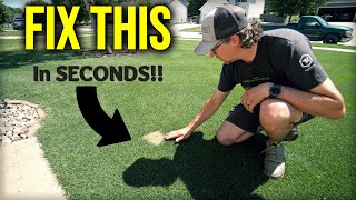 EASY FIX For Dead Spots In The Lawn