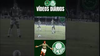 GOLS DO EVAIR PELO PALMEIRAS! PARTE 1 #shorts  #palmeiras