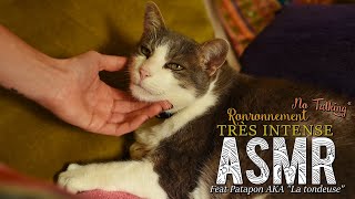 BONUS ASMR  ~ 12 mn de Ronronnement TRÈS INTENSE ! (Feat Patapon aka "La tondeuse") - Cat purring