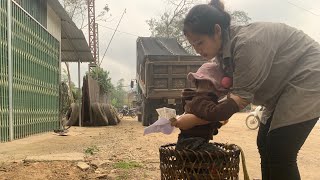 harvest tomatoes to sell - meet the baby abandoned by its mother & I will raise the baby