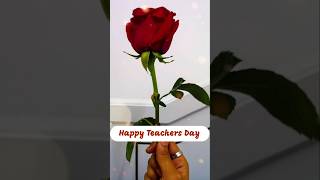 Teachers Day Wishes |Dedicated to my favourite teacher ❤️ Happy Teachers Day 2024 #shorts