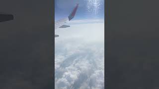 Clouds look like trees #likes #2023 #trending #travelvlog