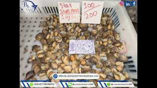 Frozen star shell meat🦪                                 Size: 100-200 , 200-300 pieces in kg.