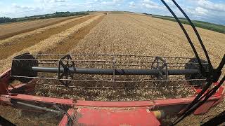 wheat harvest 2021 cab view laverda 2760