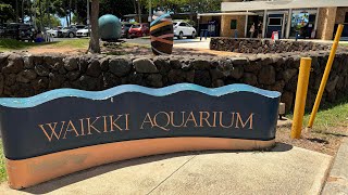 Waikiki Aquarium