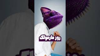 چرا روز مارمولک¿