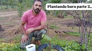 PLANTANDO BARU VÍDEO 2...