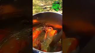 Delicious fresh BLUECLAW YABBIE.. Catch &Cook.. #fishing #crawfish #viral