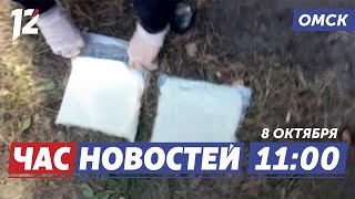 Задержали наркокурьера / Полярное сияние / Новый мурал. Новости Омска