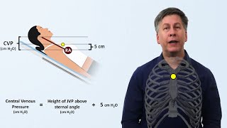 Hemodynamics