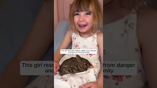 This girl rescued a baby rabbit from danger and gave it a loving family #animalshorts #rabbit