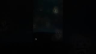 teamLab Supernature Macau - チームラボ  -   Macau One Minute 澳門一分鐘 05529