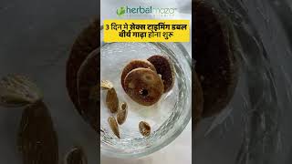 ये नुस्ख़ा ख़ा लो जवान रहोगे #herbal #youtubeshorts #reels #shortsvideo #fact #dr #fact