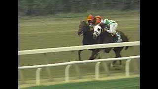 1996 Matron Stakes