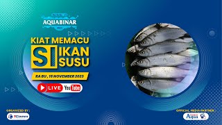 AQUABINAR #21 - KIAT MEMACU SI IKAN SUSU