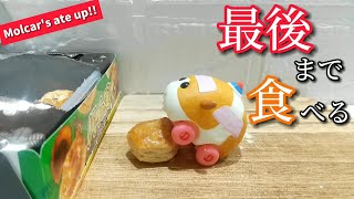 【PUI PUI Molcar】モルカーたちが日本の定番人気お菓子を食べきりました/Japanese popular chocolate Molcar's ate up!【stopmotion】