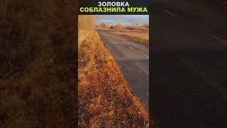 ЗОЛОВКА соблазнила моего МУЖА #shorts #жизненныеистории