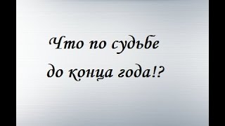 Что по судьбе до конца года! Что меня ждет! ТАРО расклад