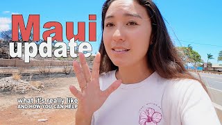 i visited Maui. *how to help after disaster wildfire!!* (heartbroken)