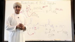 Transformation of Acid Chlorides into Amides