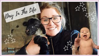 DAY IN THE LIFE WITH A 3 MONTH OLD | Lambing, beach walks and cleaning the house | Diary Of A Dun