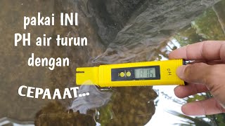 CARA MENURUNKAN PH AIR KOLAM