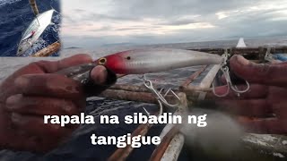 Ep,167 napalaban man tayo sa mga king fish