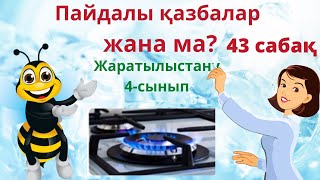 Жаратылыстану. Пайдалы қазбалар  жана  ма? 4-cынып. 43-сабақ