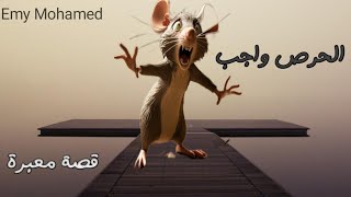 هل دايماً بيكون الحرص واجب؟؟