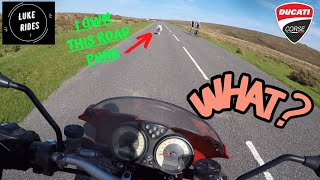 Motovlog 205 | Random Sheep! Random Cows! When On A Ride With The Ducati S2R 1000 Super Naked