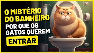 💛POR QUE OS GATOS NOS SEGUE ATÉ O BANHEIRO? // GATO CURIOSIDADES