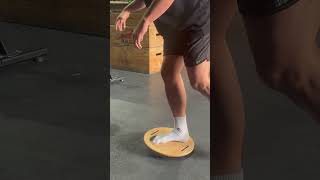 Single Leg Balance (Mobo Board)