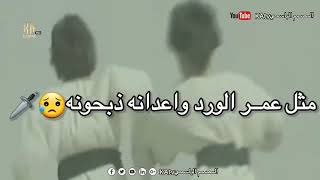 اولاد مسلم بن عقيل عليهم السلام #باسم_الكربلائي