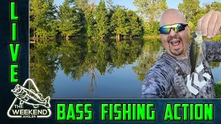 LIVE Bass Fishing ELIMINATION Tournament: Day 1