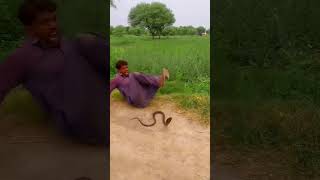 अचानक से पीछे आ गया सांप😱//Funny video//viral funny Short video//trending Short Video