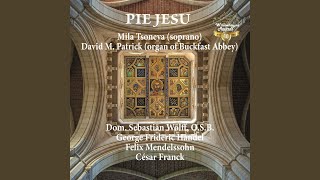 Messiah, HWV 56: No. 38, How Beautiful Are the Feet (Arr. for Voice & Organ)