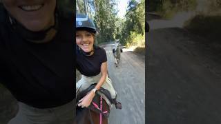 Horse Riding in Renegade Hoof Boots #horseriding #horse #horses #australia #barefoothorse