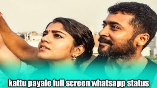 kattu payale full screen whatsapp status