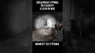 STALKER прохождение, смешные моменты #shorts