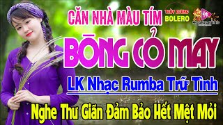 Căn Nhà Màu Tím, Bông Cỏ May - LK Rumba Trữ Tình Hải Ngoại HAY NHẤT HIỆN NAY Nghe Êm Tai Dễ Nghiện