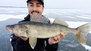 First Ice Mille Lacs Walleyes (Tips & Conditions)