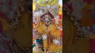 Radhe Radhe 🙏🙏#youtubeshorts #shortvideo Hare Krishna Jay Shri Radhe🙏🙏