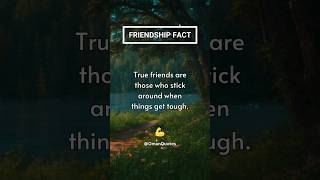 True friends are... #shorts #friendshipfacts