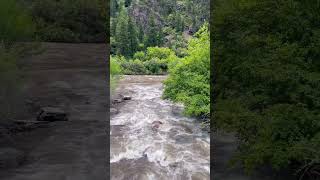 Colorado days #colorado #summervibes #travel #viralvideo #youtubeshorts