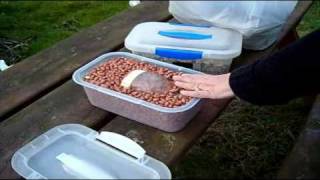 What to feed wild birds in winter & what feeders to use