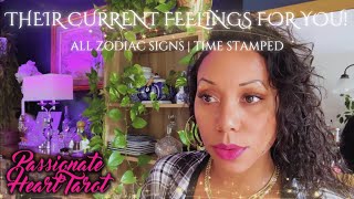 ✨ HOW DO THEY FEEL ABOUT ME? 💕 ALL ZODIAC SIGNS | TIME STAMPED ✨